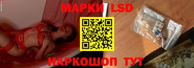 шишки Лесосибирск