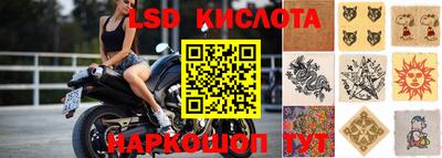 шишки Лесосибирск