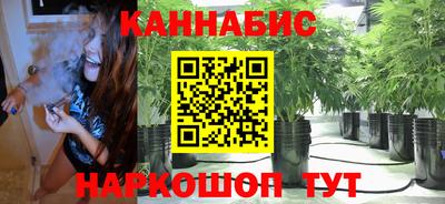 шишки Лесосибирск