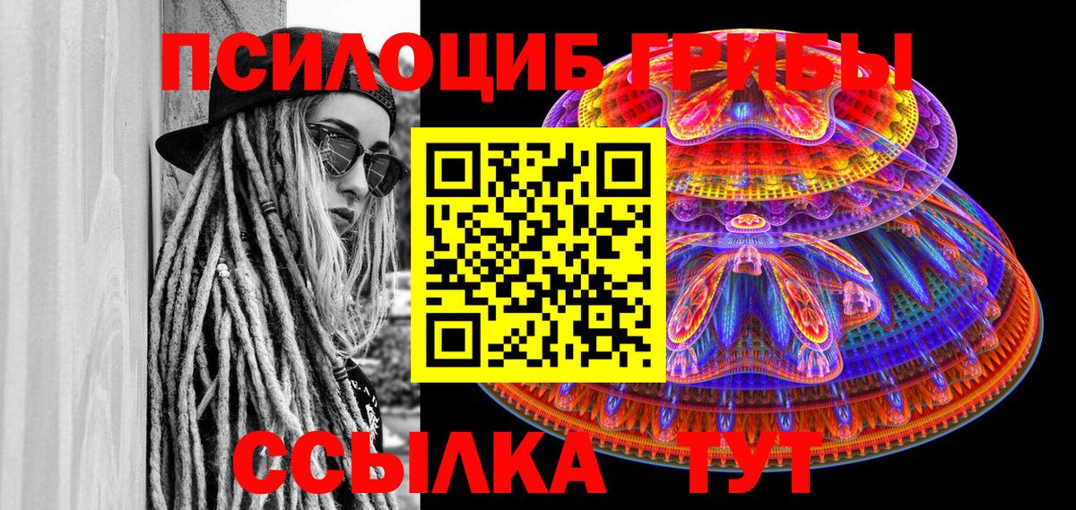 Псилоцибиновые грибы Psilocybe  Вход с VPN  Екатеринбург 